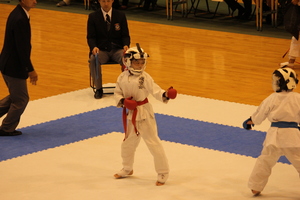 img_20161102-172412.jpg