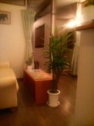 �摜