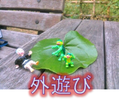 img_20151125-201249.png