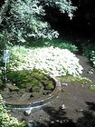 清水町 柿田川公園B わき間 画像