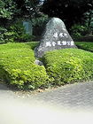 清水町総合運動公園 画像
