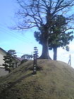 駿東郡清水町 一里塚@ 画像
