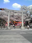 三嶋大社入口と桜 画像