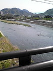 橋から見た黄瀬川です。 画像