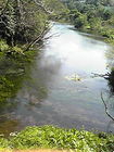 清水町柿田川公園第一展望台 画像