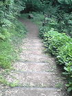 駿東郡清水町本城山公園F 画像