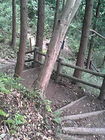 駿東郡清水町本城山公園G 画像