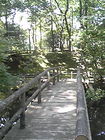 裾野市中央公園C橋 川 画像