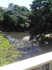裾野市中央公園J橋の上からの川 画像