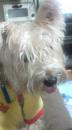 profile_20120424-000244.jpg