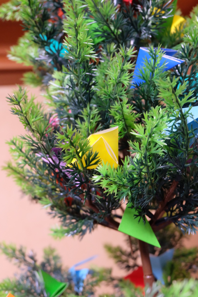 img_20141205-130640.jpg