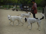 �摜