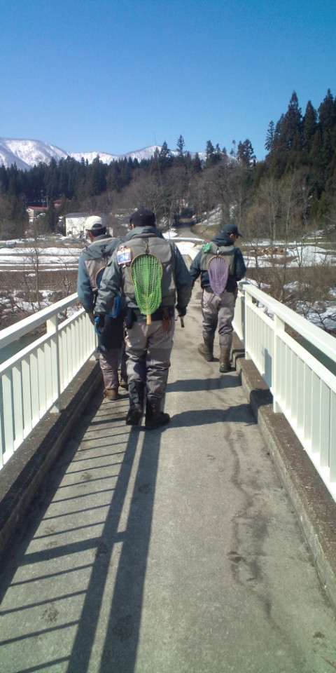 img_20120417-055719.jpg