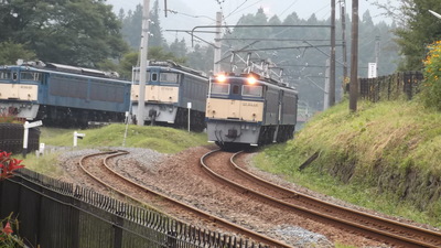img_20160207-152044.jpg