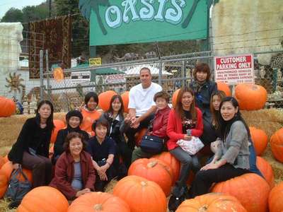 Pumpkin Patch