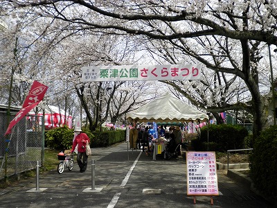 さくらまつりのご案内!