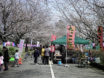 さくら祭り