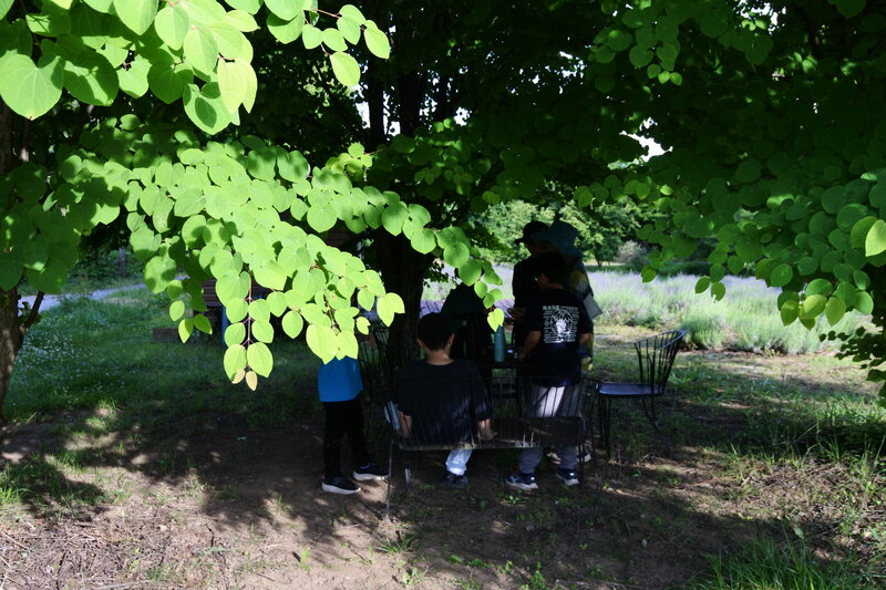 DSC_1753.JPG
