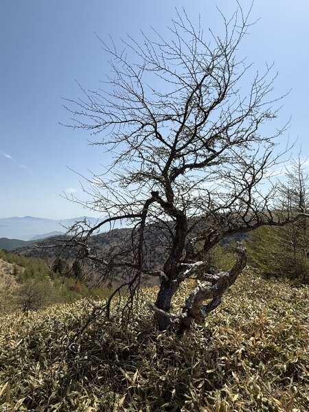 IMG_7836.JPG