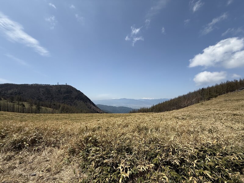 IMG_7855.JPG