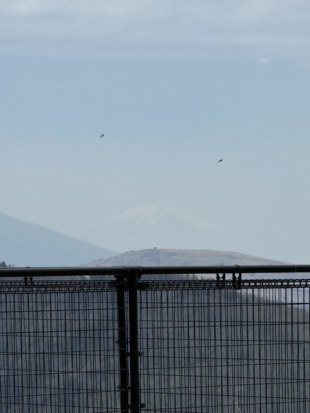 IMG_7883.JPG