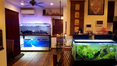 水槽台
