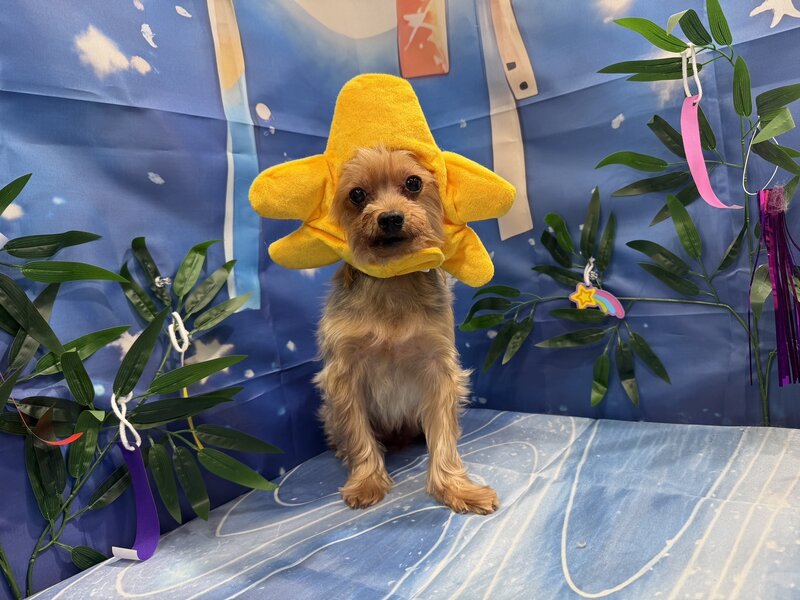 IMG_0317.jpeg