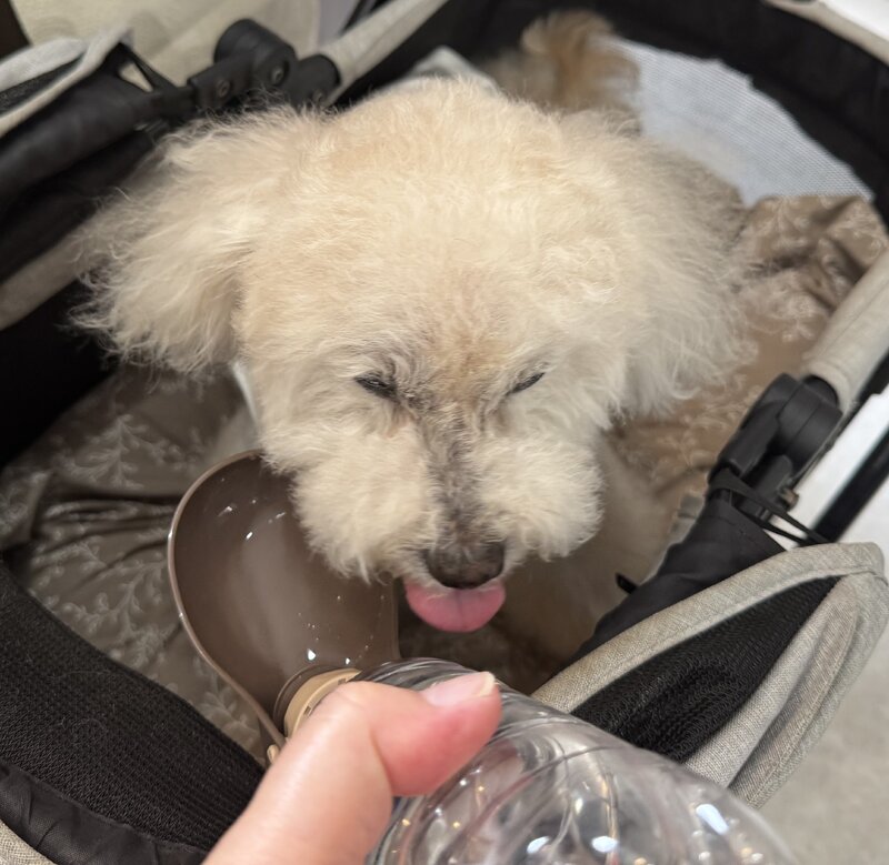 IMG_0512.jpeg