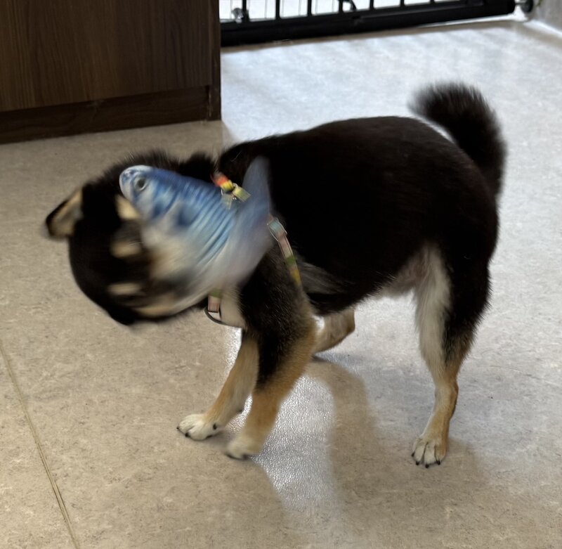 IMG_0697.jpeg
