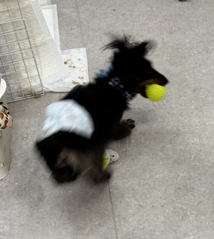 IMG_0797.jpeg
