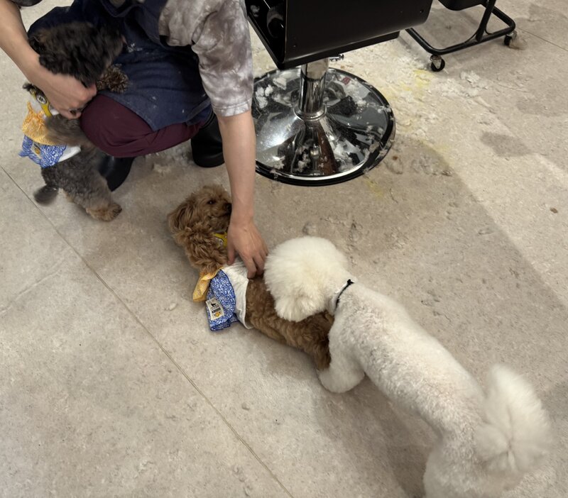 IMG_1120.jpeg