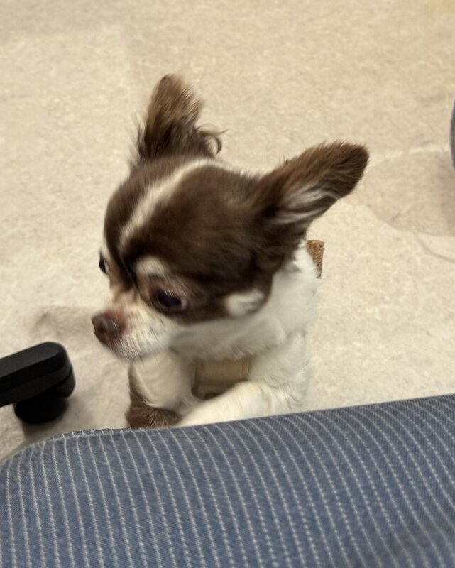 IMG_3153.jpeg
