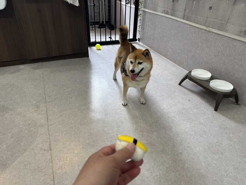 IMG_3228.jpeg