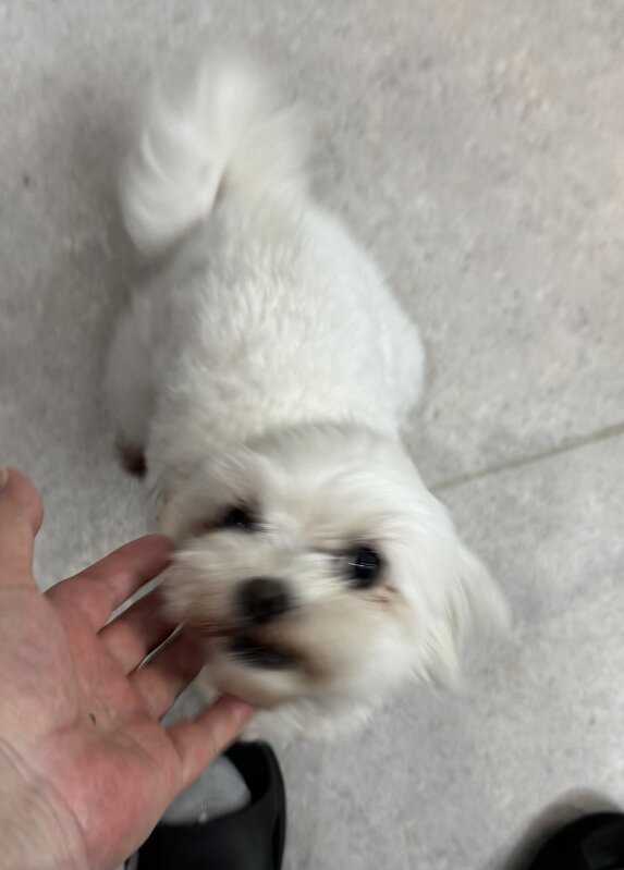 IMG_3448.jpeg