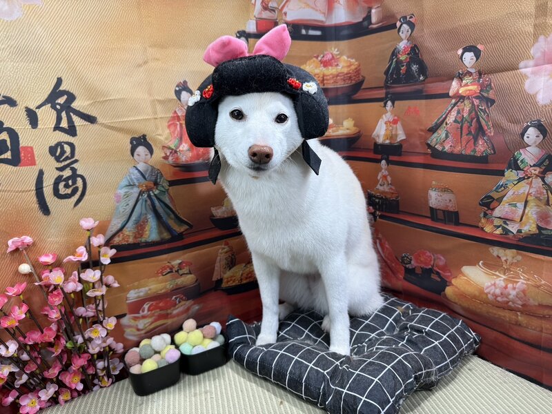 IMG_4530.jpeg