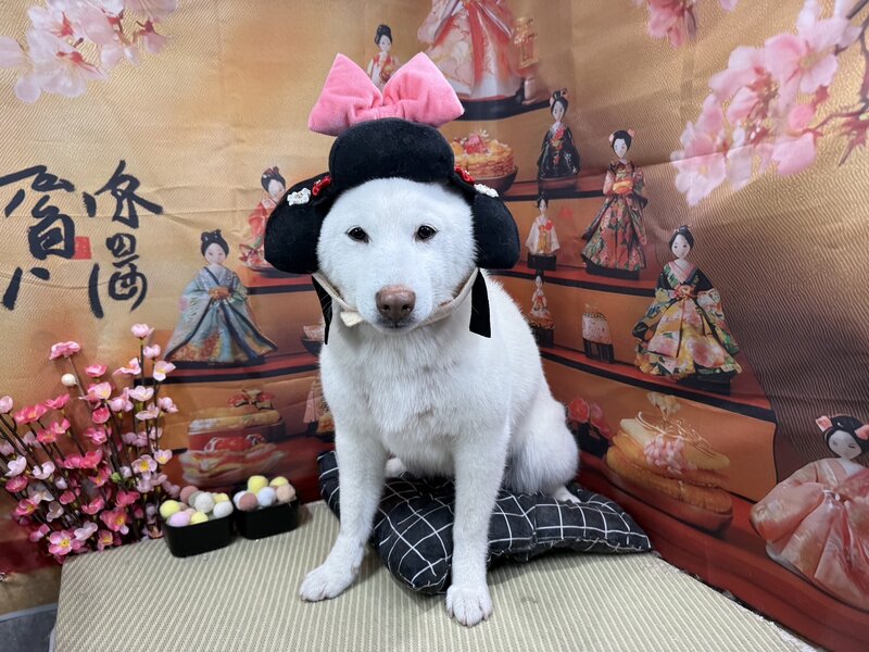 IMG_4659.jpeg