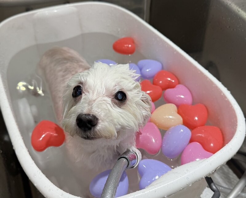 IMG_5052.jpeg