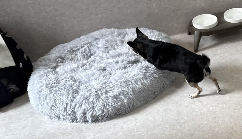 IMG_5356.jpeg