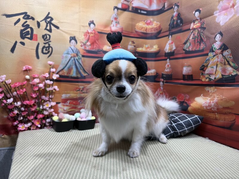 IMG_5573.jpeg