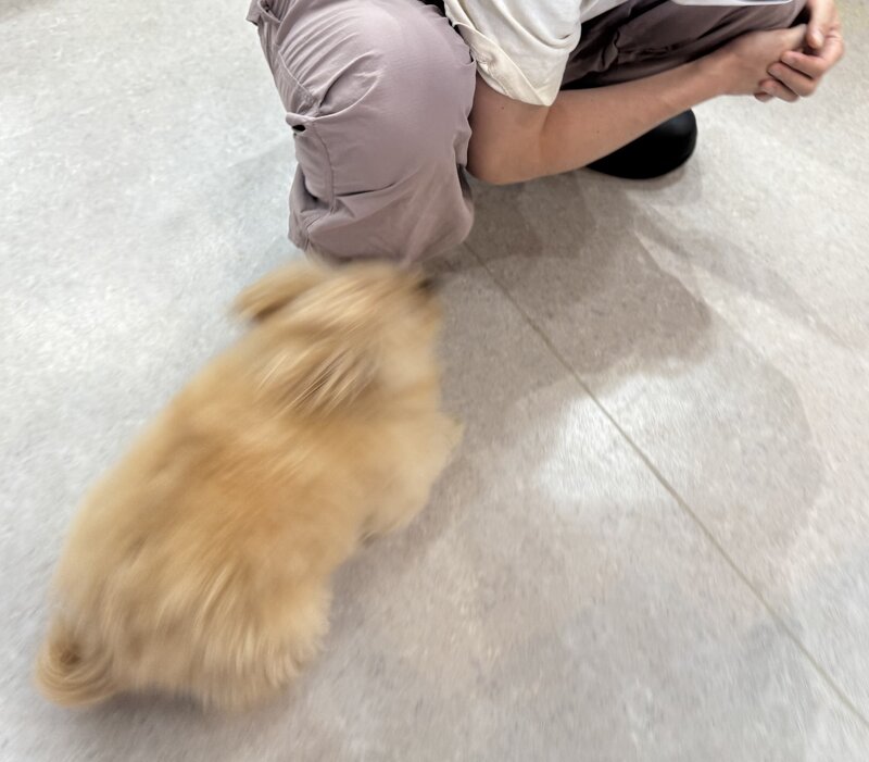 IMG_5608.jpeg