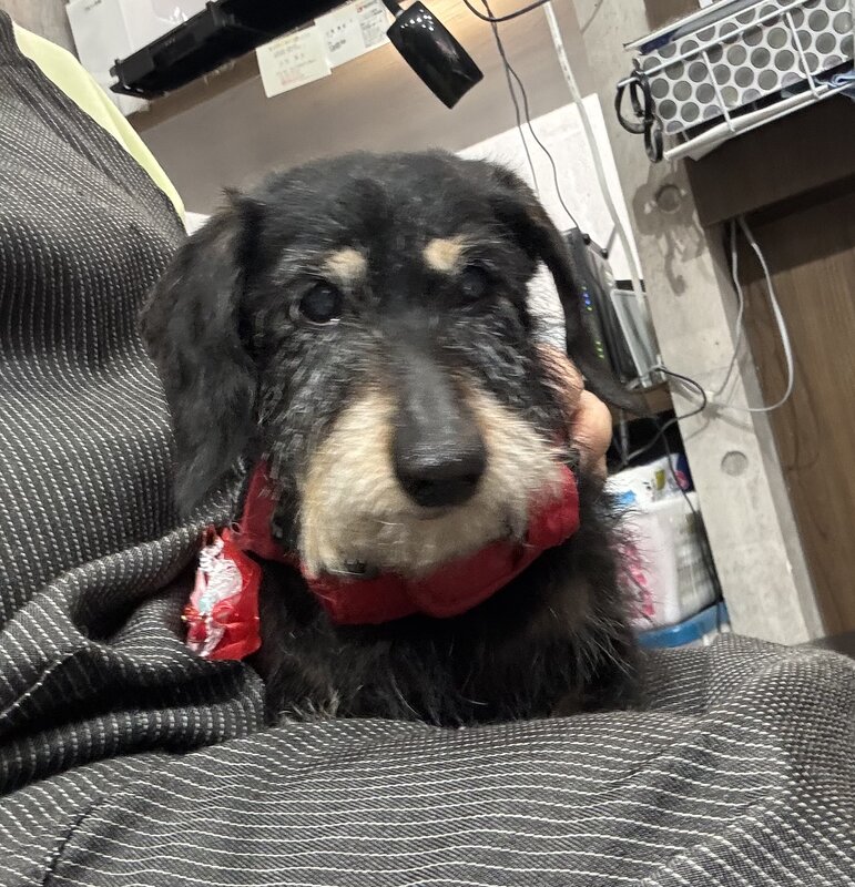 IMG_5899.jpeg