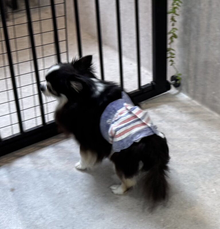 IMG_6006.jpeg