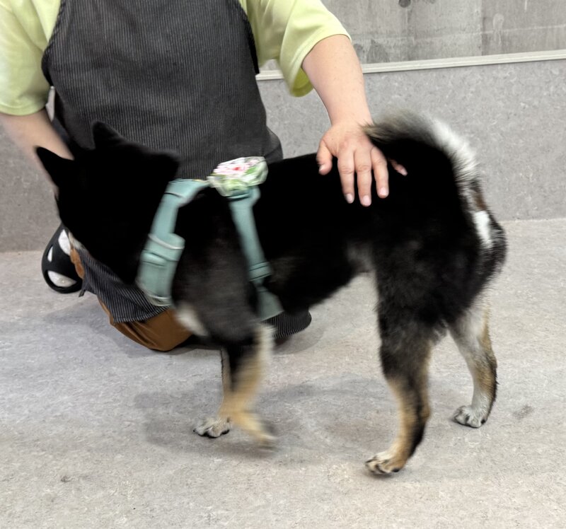 IMG_6060.jpeg