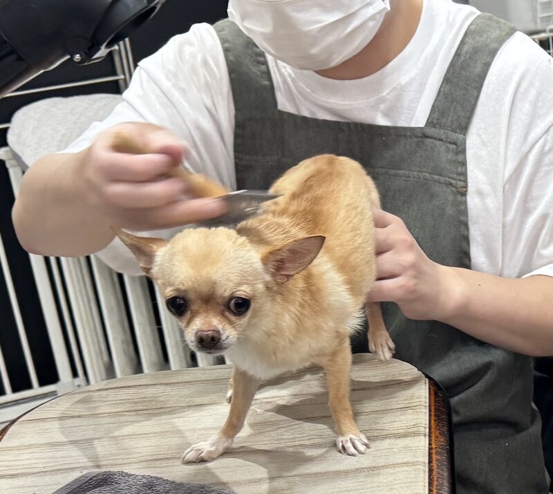 IMG_6420.jpeg