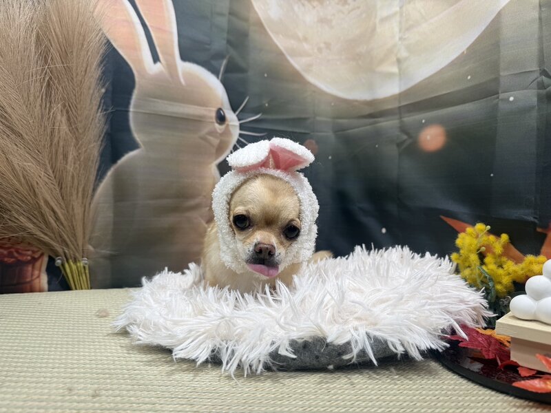 IMG_6476.jpeg