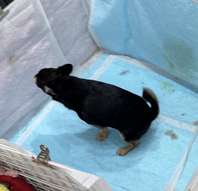 IMG_6852.jpeg
