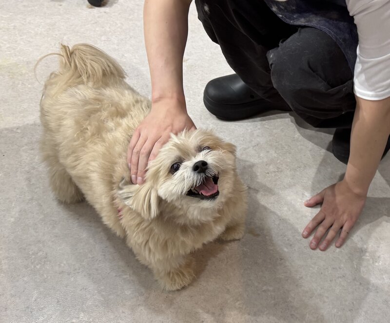 IMG_6874.jpeg