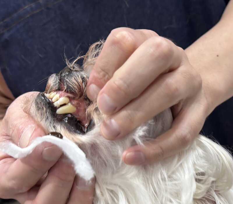IMG_7164.jpeg