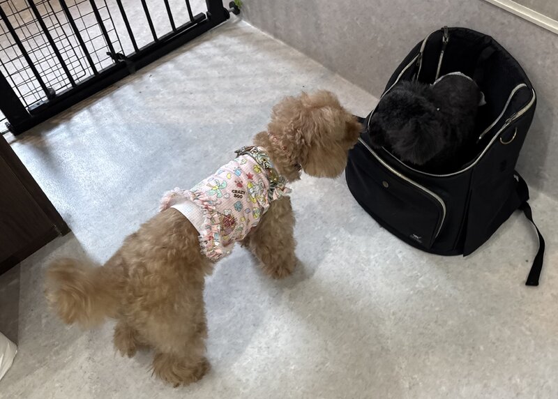 IMG_7520.jpeg
