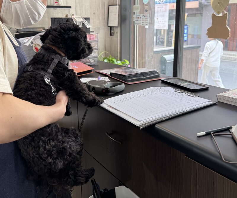 IMG_7637.jpeg